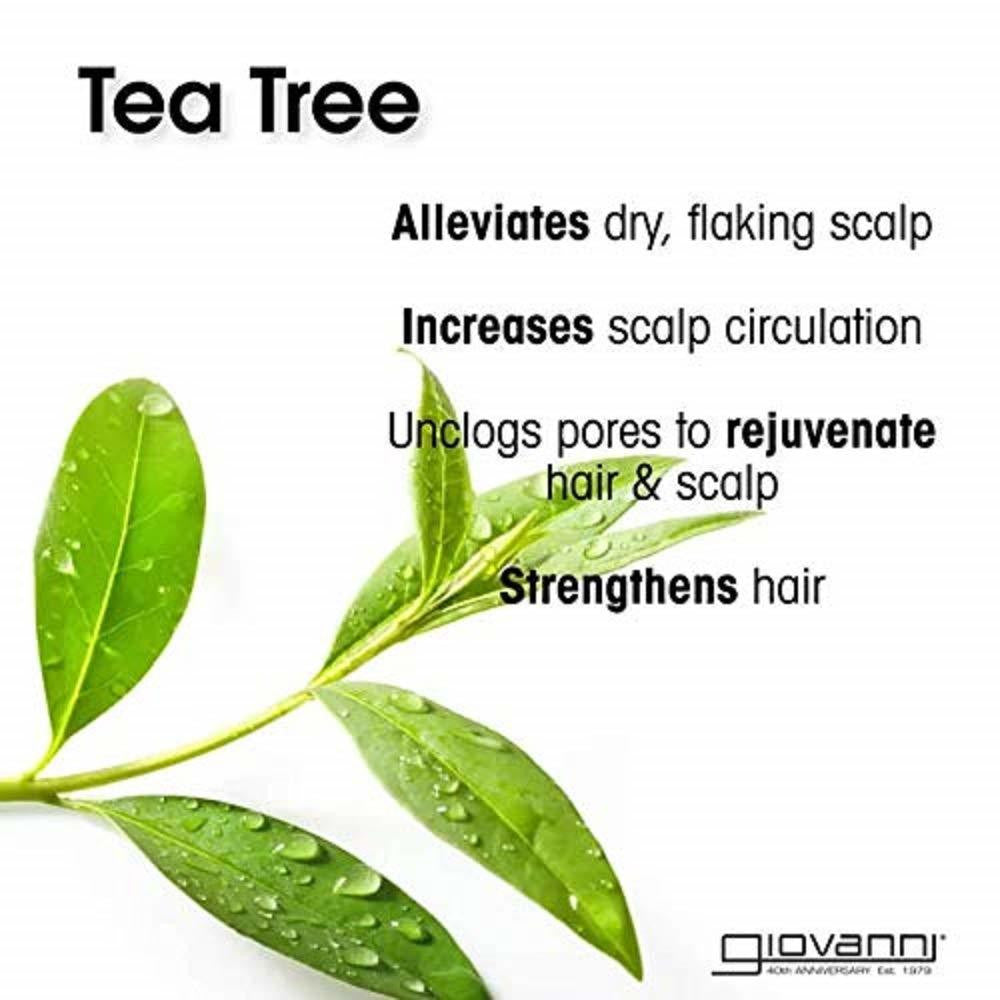 GIO TEA TREE TRIPLE COND ( 1 X 128 OZ   )-2